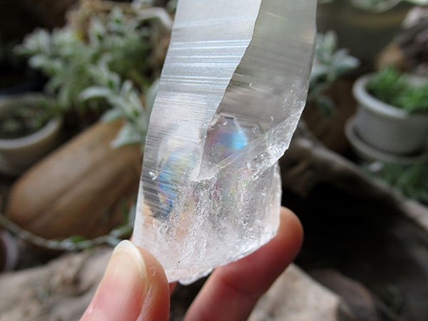 ブラジル バイーア州産 レムリアンシードクリスタル 原石 | 天然石専門