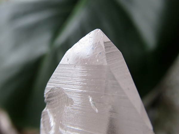 ブラジル バイーア州産 レムリアンシードクリスタル 原石 | 天然石専門