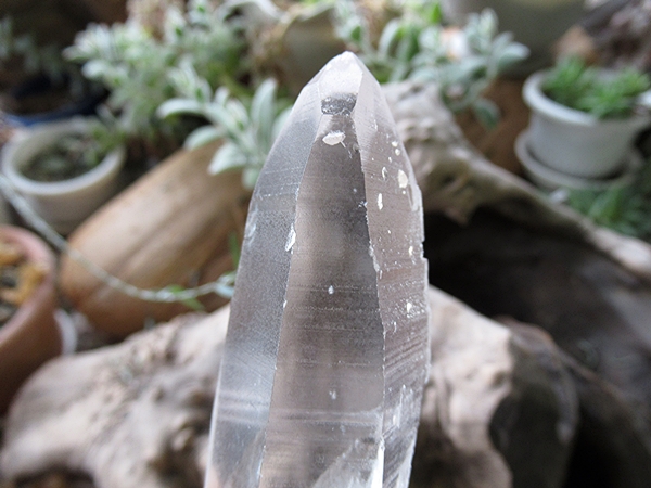 ブラジル バイーア州産 レムリアンシードクリスタル 原石 | 天然石専門