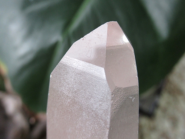 ブラジル バイーア州産 レムリアンシードクリスタル 原石 | 天然石専門