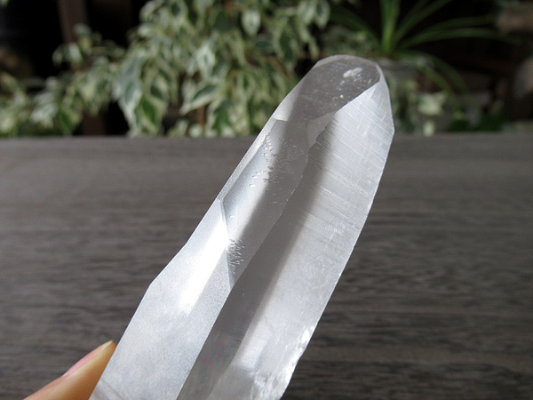 ブラジル バイーア州産 レムリアンシードクリスタル 原石 | 天然石専門