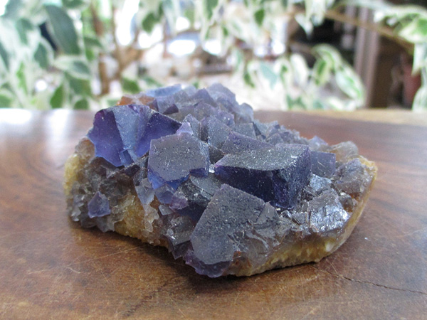 ブルーフローライト クラスター 原石 蛍石 ニューメキシコ 通販 | 天然石専門店販売/鬮石