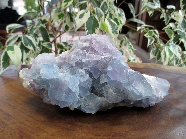 ブルーフローライト クラスター 原石 蛍石 ニューメキシコ 通販 | 天然石専門店販売/鬮石