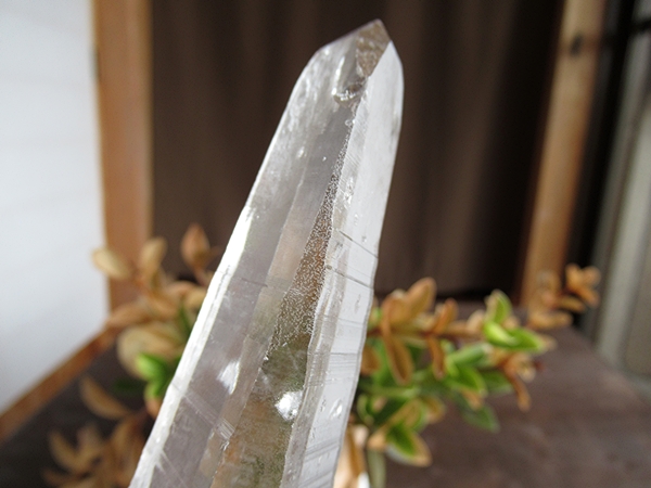 ブラジル バイーア州産 レムリアンシードクリスタル 原石 | 天然石専門 ブラジル バイーア州産 レムリアンシードクリスタル 原石 | 天然石専門