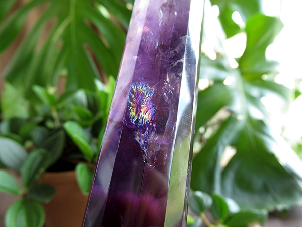 天然石　アメジスト フォーゲル　約15.5cm 天然石 アメジスト フォーゲル 約15.5cm アメジスト フォーゲル 【公式