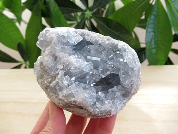 セレスタイト 原石 クラスター 天青石 天然石