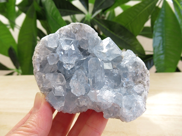 セレスタイト 原石 クラスター 天青石 天然石