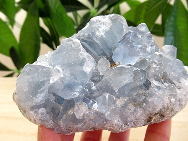 セレスタイト 原石 クラスター 天青石 天然石