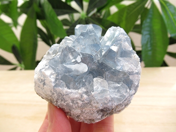 セレスタイト 原石 クラスター 天青石 天然石