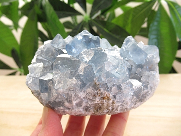 セレスタイト 原石 クラスター 天青石 天然石