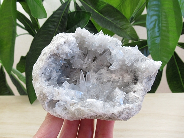 セレスタイト 原石 クラスター 天青石 天然石