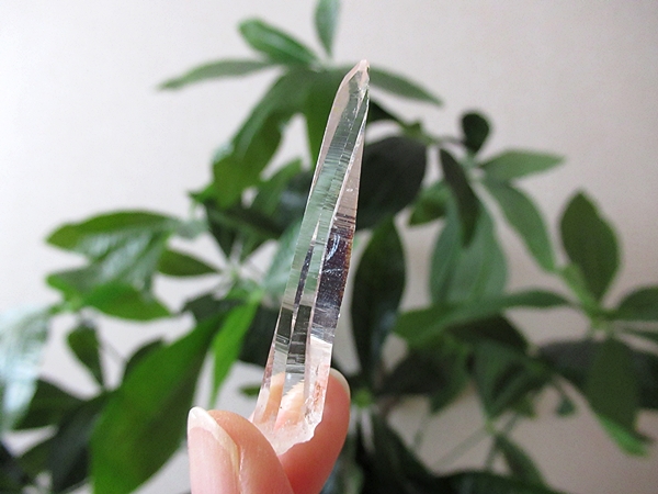 コロンビア産 レムリアンシードクリスタル タピアス 水晶 原石
