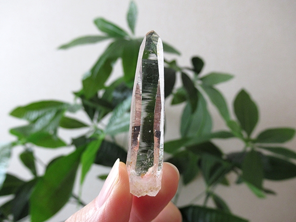 コロンビア産 レムリアンシードクリスタル タピアス 水晶 原石