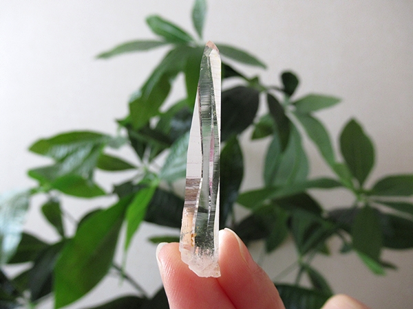 コロンビア産 レムリアンシードクリスタル タピアス 水晶 原石