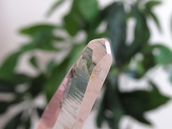 コロンビア産 レムリアンシードクリスタル タピアス 水晶 原石