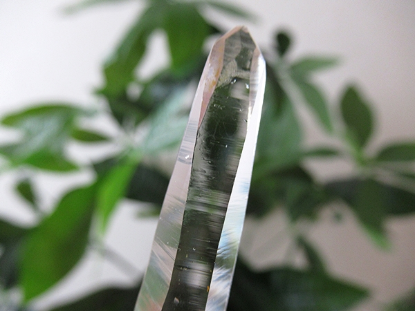 コロンビア産 レムリアンシードクリスタル タピアス 水晶 原石