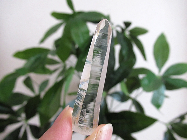 コロンビア産 レムリアンシードクリスタル タピアス 水晶 原石