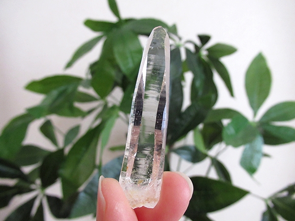 コロンビア産 レムリアンシードクリスタル タピアス 水晶 原石