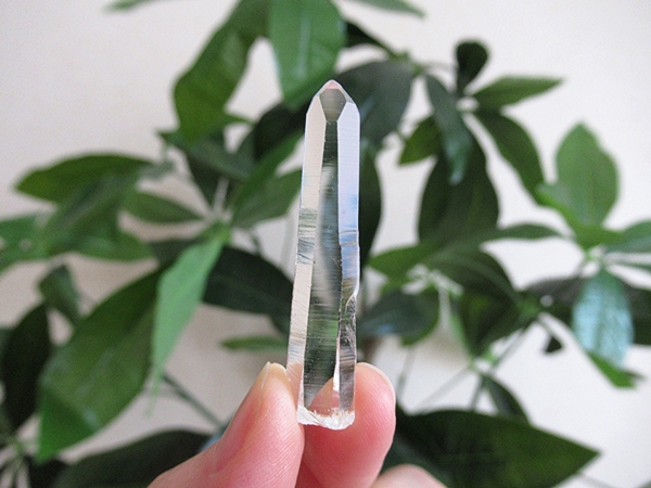 コロンビア産 レムリアンシードクリスタル タピアス 水晶 原石