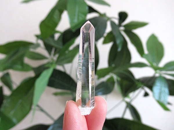 コロンビア産 レムリアンシードクリスタル タピアス 水晶 原石