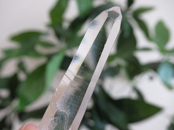 コロンビア産 レムリアンシードクリスタル タピアス 水晶 原石