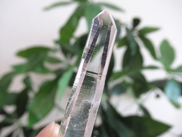 コロンビア産 レムリアンシードクリスタル タピアス 水晶 原石