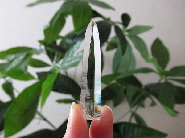 コロンビア産 レムリアンシードクリスタル タピアス 水晶 原石