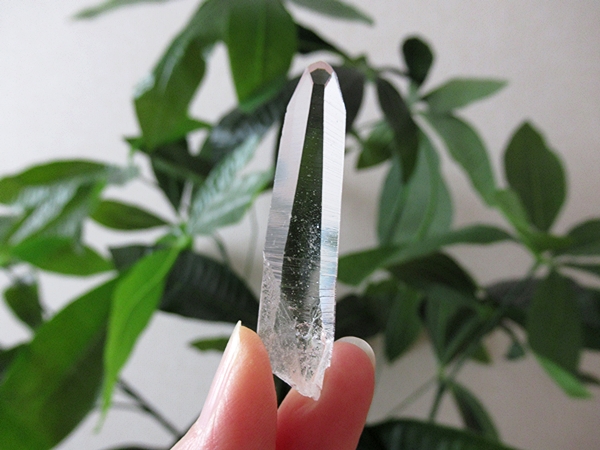 コロンビア産 レムリアンシードクリスタル タピアス 水晶 原石