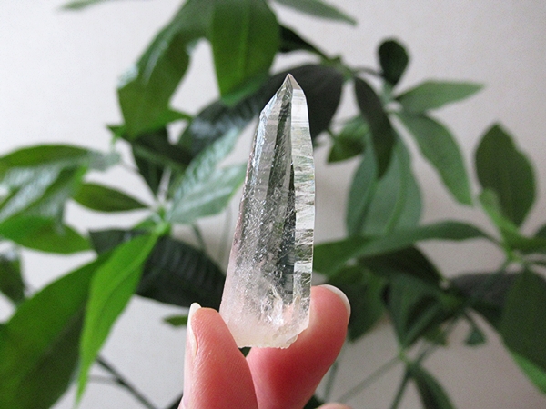コロンビア産 レムリアンシードクリスタル タピアス 水晶 原石