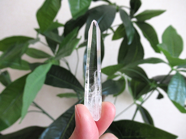 コロンビア産 レムリアンシードクリスタル タピアス 水晶 原石