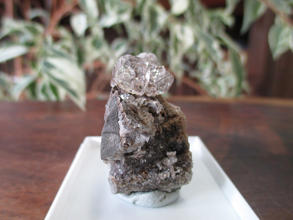 クォーツダイヤモンドの通販/フランス産水晶原石販売 | 天然石専門店