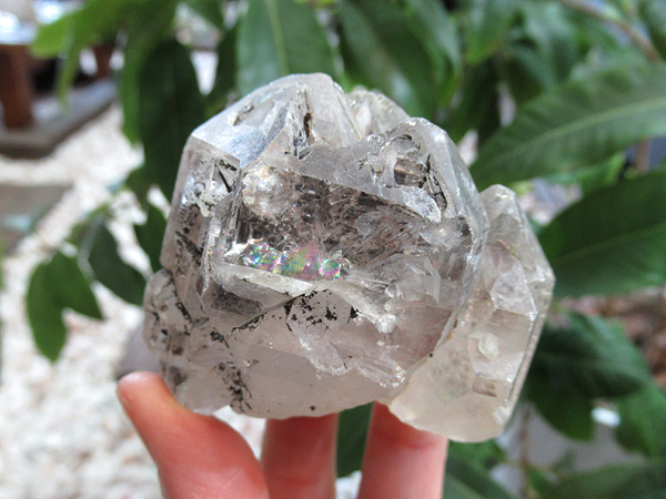 ✳️極☆激レア品‼️✨エレスチャルクォーツ ルチルインライトニング水晶 原石 天然石 ✳️極☆激レア品‼️✨エレスチャルクォーツ ルチルインライトニング