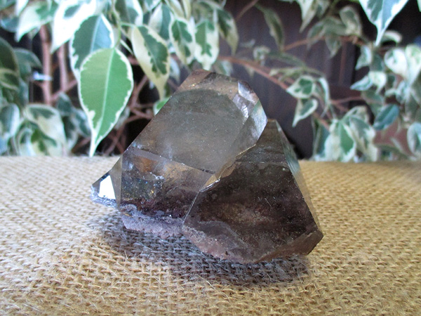 ガーデンクォーツ（草入り）クラスター654g 高品質 ガーデンクォーツ 水晶 クラスター 原石 販売 | 天然石専門店/鬮石