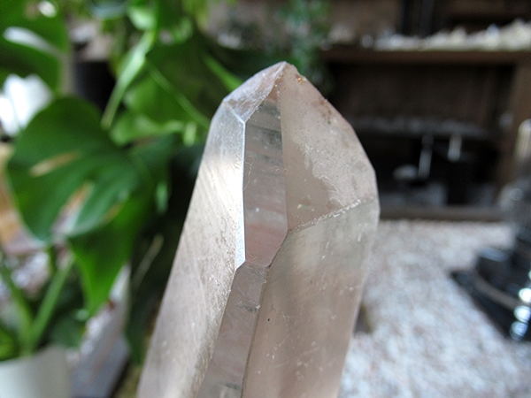 ゴイアス州 レムリアンシードクリスタル 水晶 原石 ポリッシュ