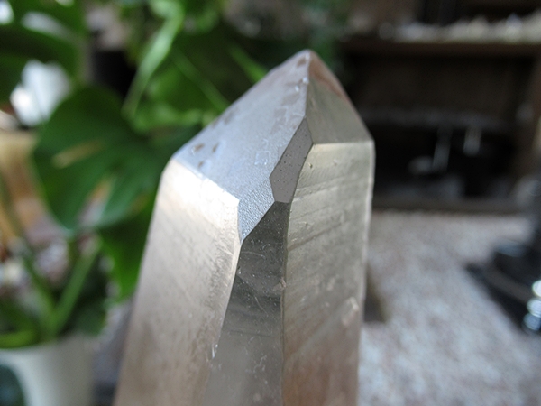 ゴイアス州 レムリアンシードクリスタル 水晶 原石 ポリッシュ