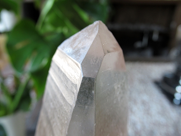 ゴイアス州 レムリアンシードクリスタル 水晶 原石 ポリッシュ