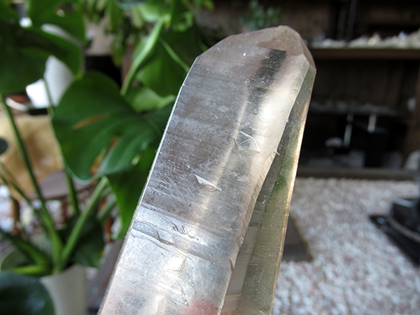 ゴイアス州 レムリアンシードクリスタル 水晶 原石 ポリッシュ
