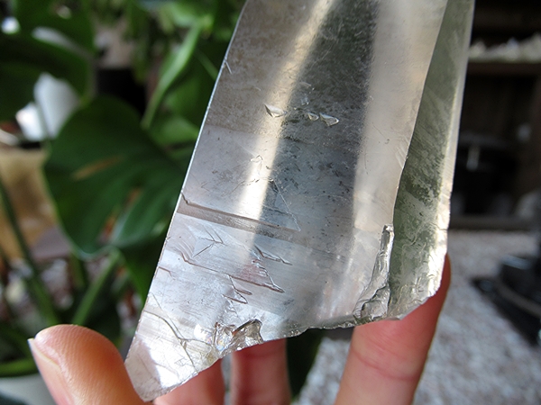 ゴイアス州 レムリアンシードクリスタル 水晶 原石 ポリッシュ