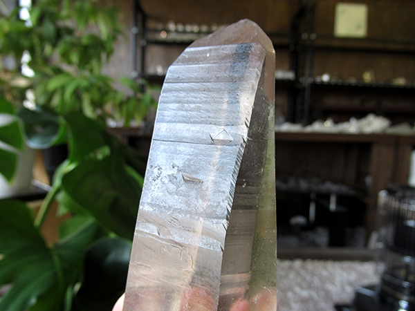 ゴイアス州 レムリアンシードクリスタル 水晶 原石 ポリッシュ