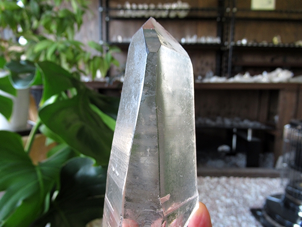 ゴイアス州 レムリアンシードクリスタル 水晶 原石 ポリッシュ