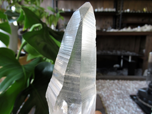 ゴイアス州 レムリアンシードクリスタル 水晶 原石 ポリッシュ