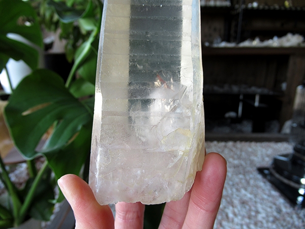 ゴイアス州 レムリアンシードクリスタル 水晶 原石 ポリッシュ