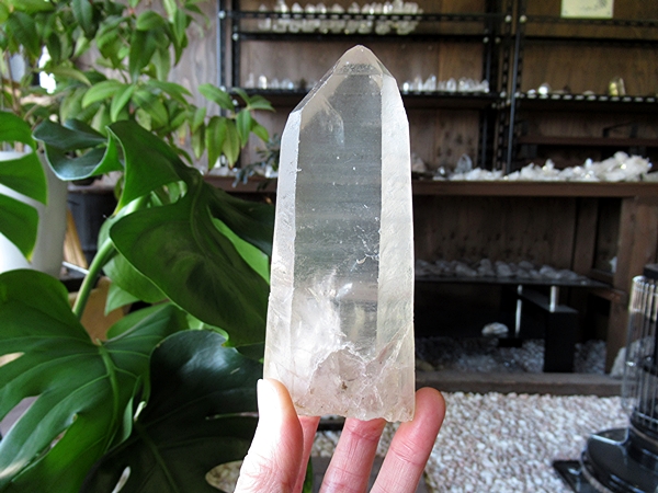 ゴイアス州 レムリアンシードクリスタル 水晶 原石 ポリッシュ