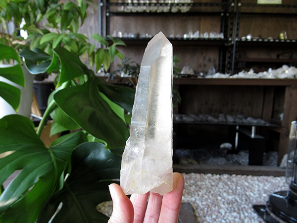 ゴイアス州 レムリアンシードクリスタル 水晶 原石 ポリッシュ