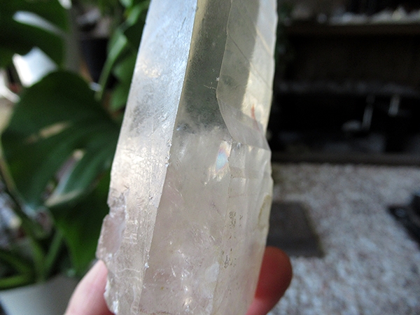 ゴイアス州 レムリアンシードクリスタル 水晶 原石 ポリッシュ