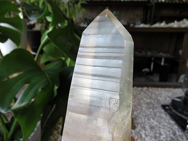 ゴイアス州 レムリアンシードクリスタル 水晶 原石 ポリッシュ