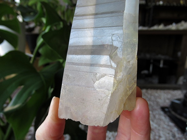 ゴイアス州 レムリアンシードクリスタル 水晶 原石 ポリッシュ