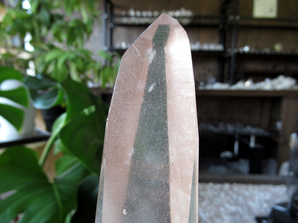 ゴイアス州 レムリアンシードクリスタル 水晶 原石 ポリッシュ