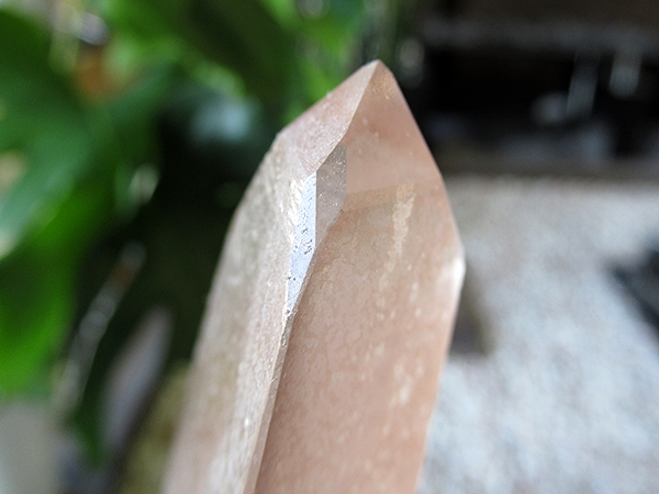ゴイアス州 レムリアンシードクリスタル 水晶 原石 ポリッシュ