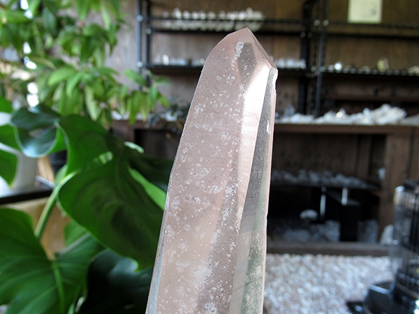 ゴイアス州 レムリアンシードクリスタル 水晶 原石 ポリッシュ